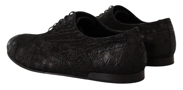 Schwarzes Kaimanleder Herren Oxford Schuhe