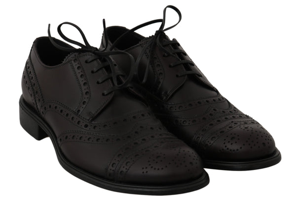 Schwarze Leder Wingtip Oxford Dress Schuhe