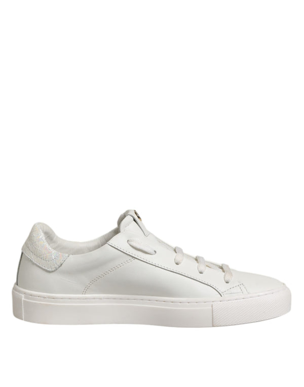 Weiße Leder Low Top Lace Up Sneakers Schuhe